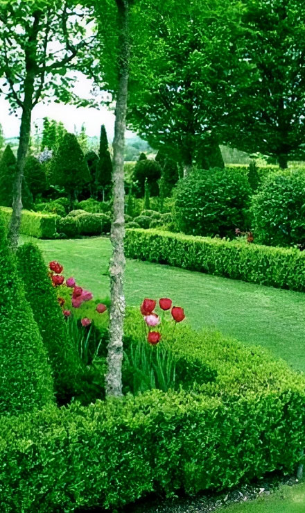 Bluewater Outdoor Services Landscaping Company